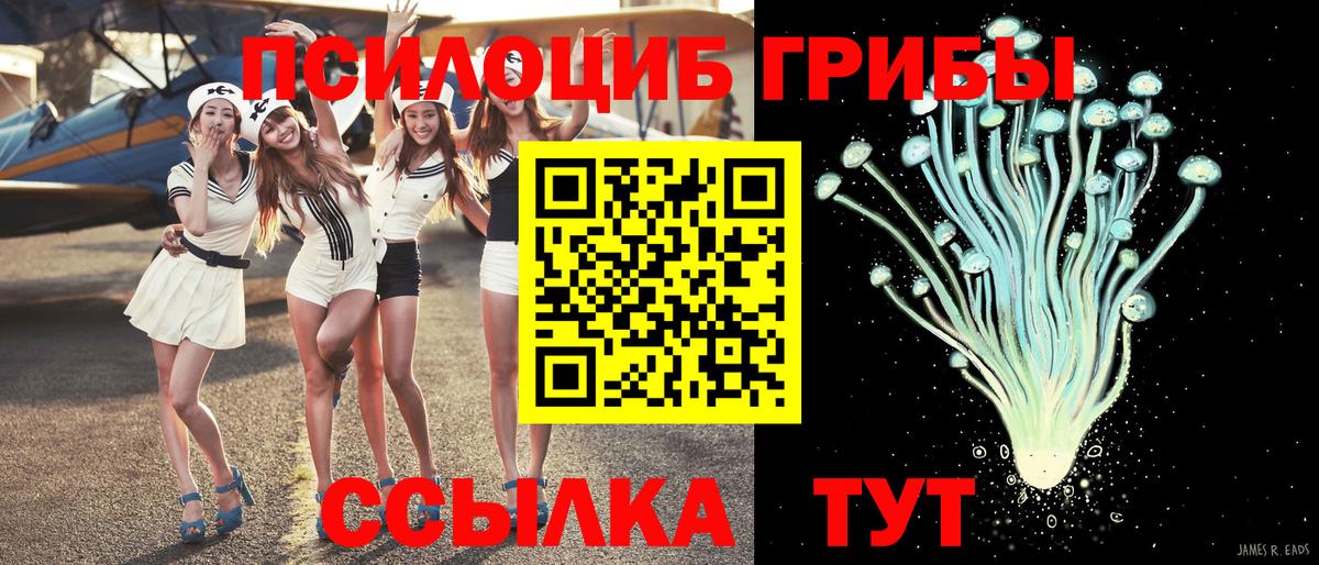 Галлюциногенные грибы прущие грибы Балахна
